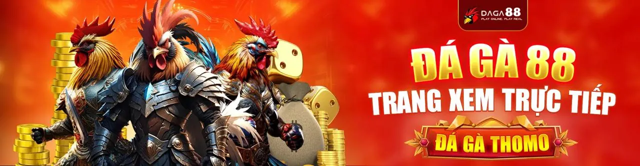 Sân đấu đá gà kịch tính tại hi8 trang chủ chính thức